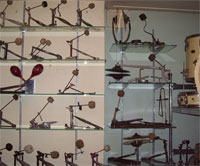 Winnie's Crazy Pedal Collection